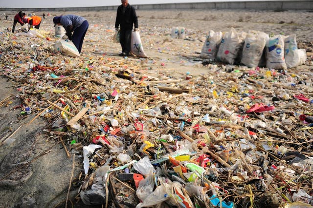 Single-use plastics have been classified as one of the world’s biggest environmental challenges by the United Nations