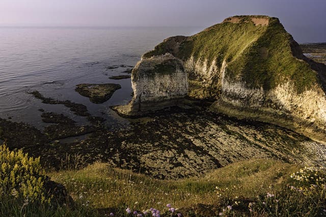 The high chalk cliffs, promontory, and coastline flanked by the North Sea at Flamborough Head are popular with bird watchers and hikers