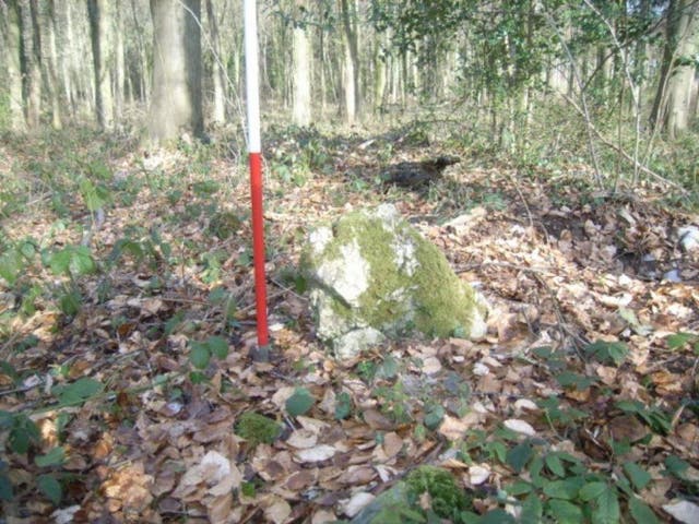 One of the standing stones on top of the ring cairn discovered in the Forest of Dean