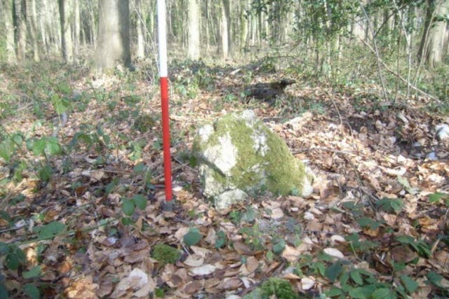 One of the standing stones on top of the ring cairn discovered in the Forest of Dean