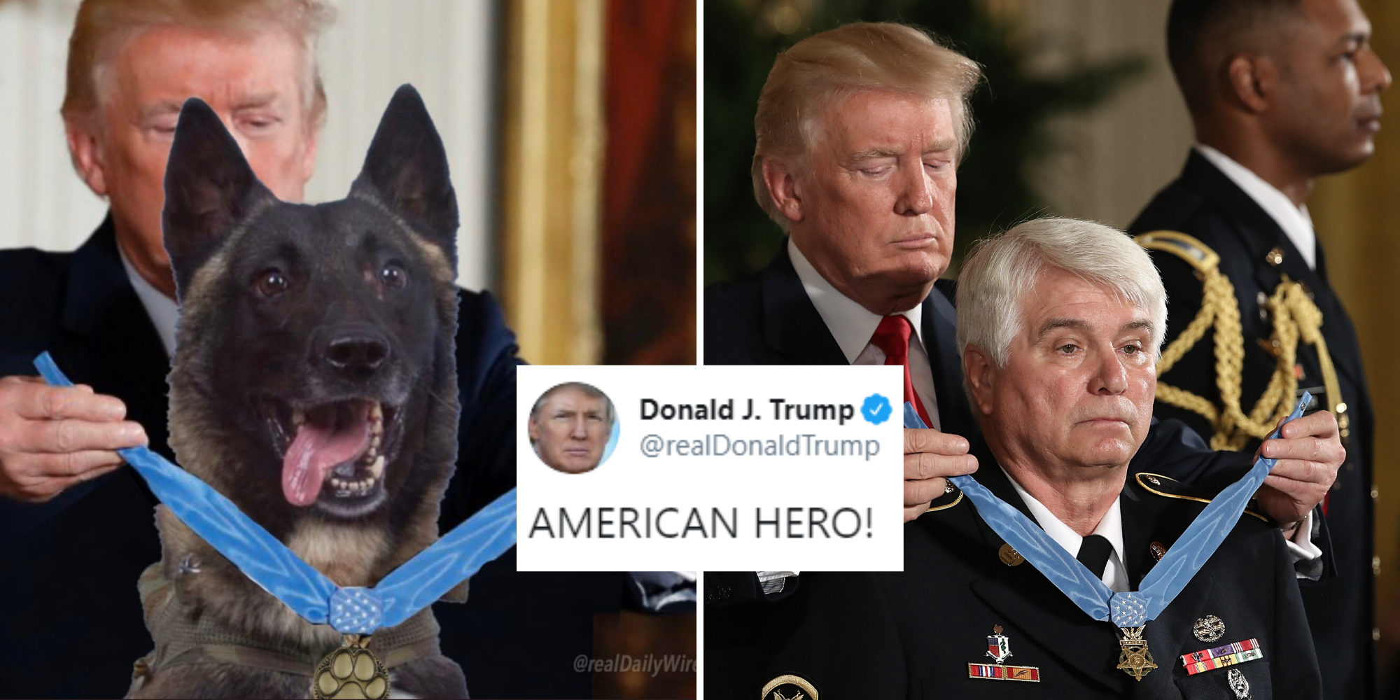 Trump Shares Photoshopped Image Of Him Honouring Dog Injured In Baghdadi And Reveals Name Is Conan Indy100
