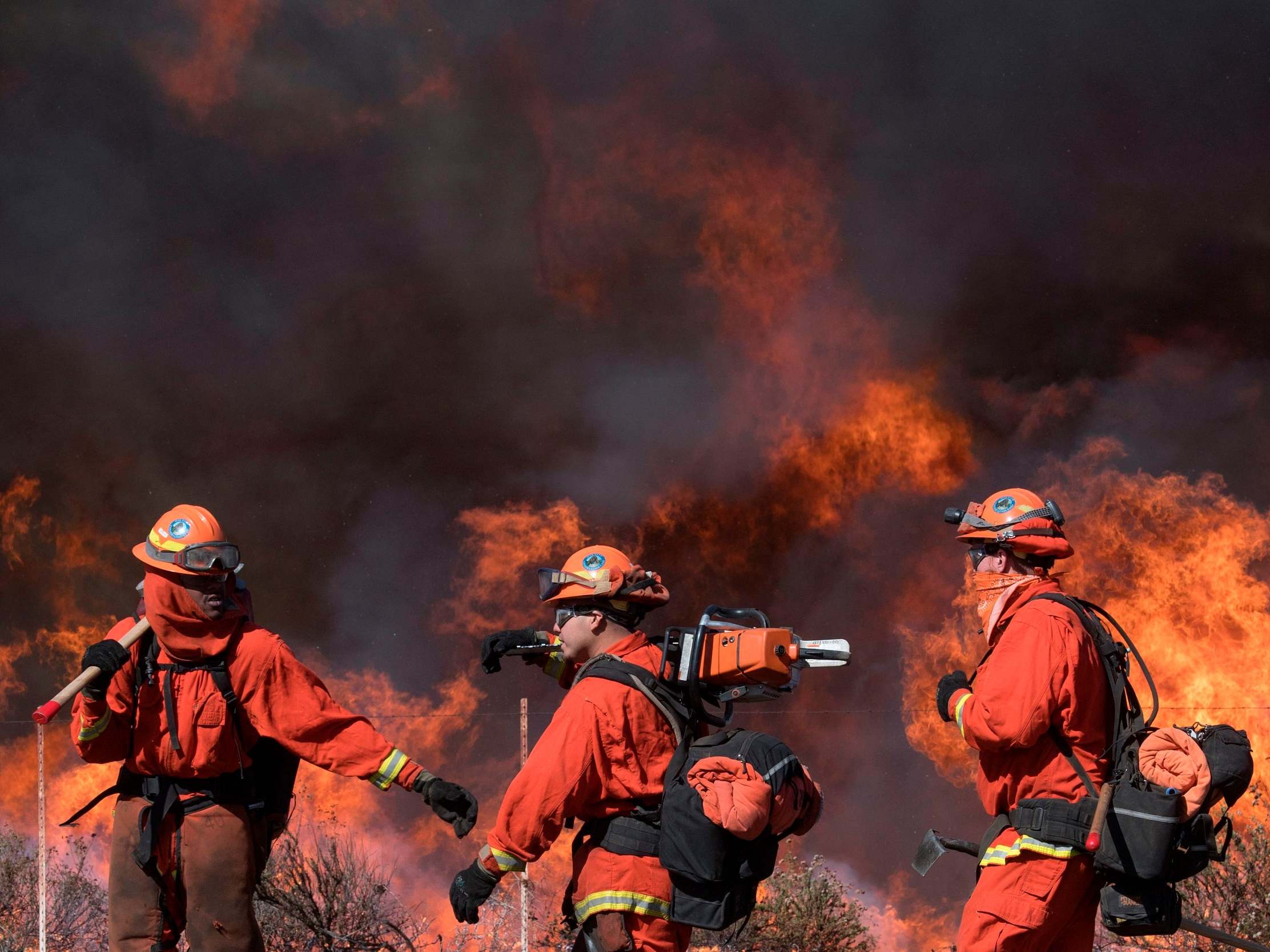 California wildfires: New blaze erupts amid 'extreme red flag warning' after goats save Reagan presidential library