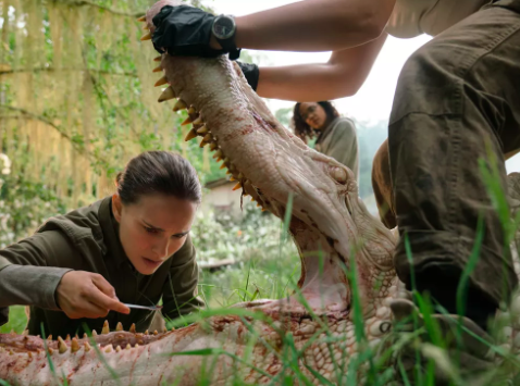 9. Annihilation