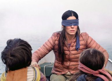 15. Bird Box