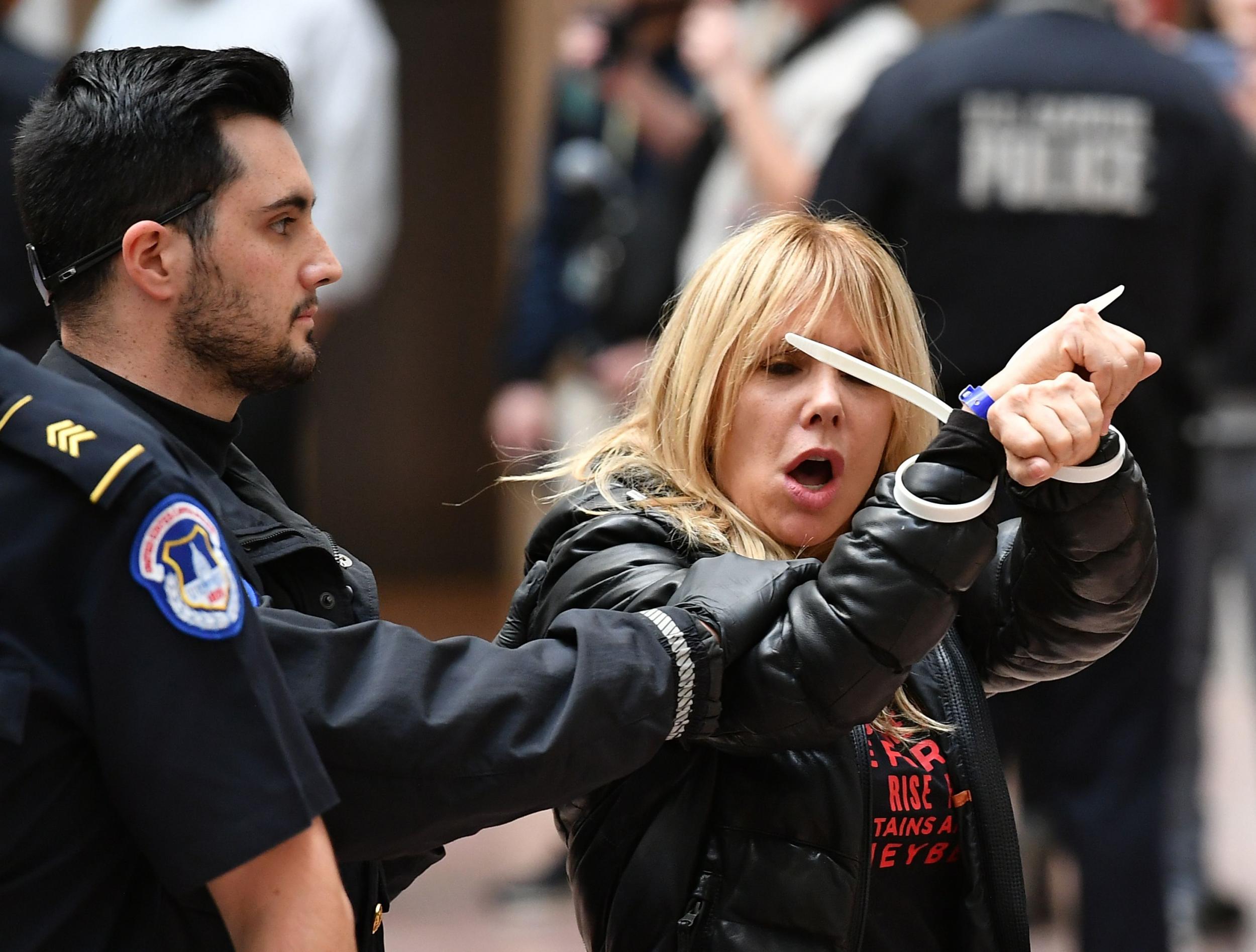 Rosanna Arquette is arrested by Capitol Police during a climate protest inside the Hart Senate office building on 1 November, 2019 in Washington, DC.