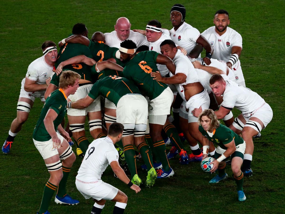 Rugby World Cup: South Africa surge to glory as England fall short