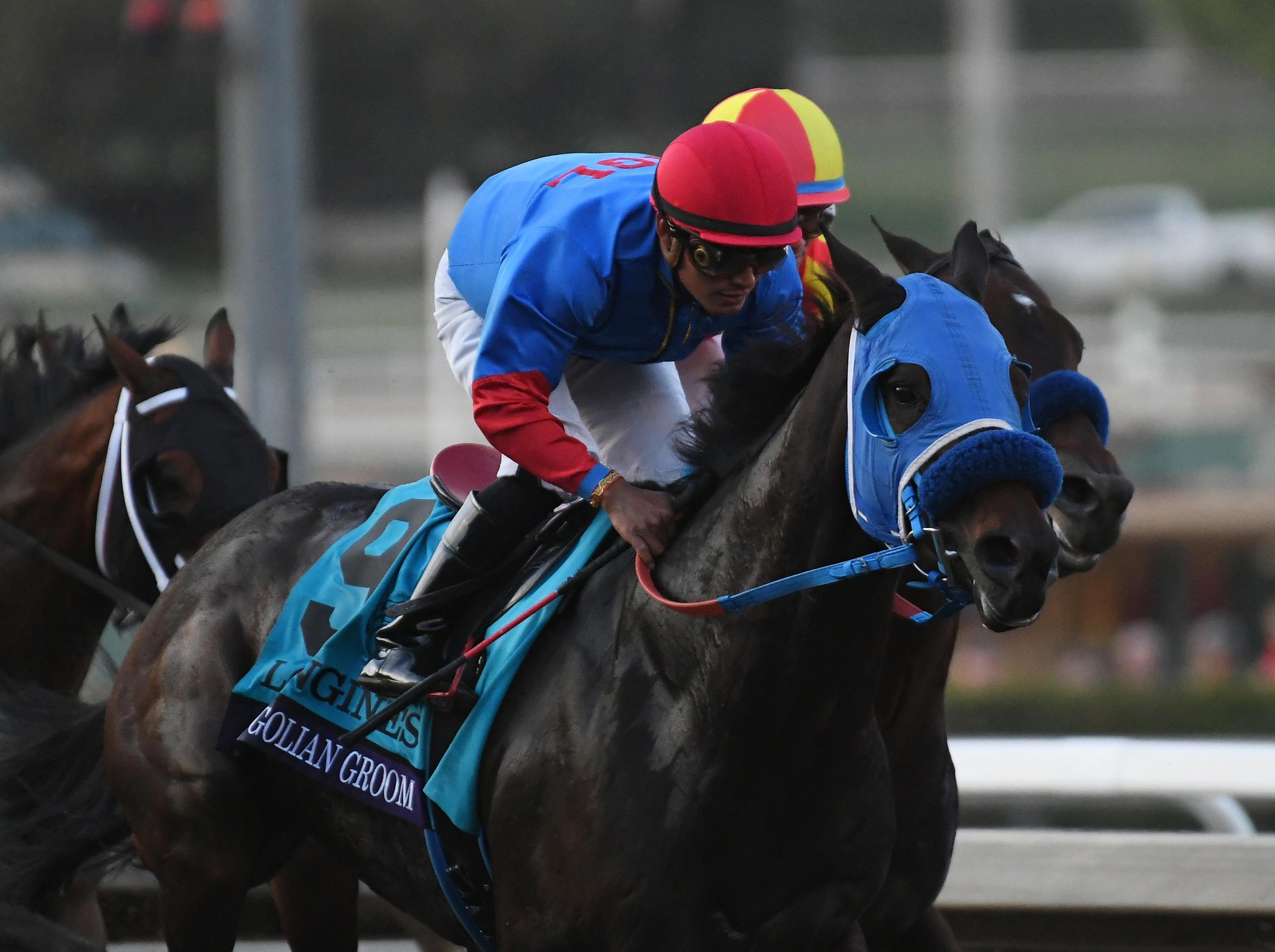 Mongolian Groom racing in the Breeders' Cup Classic