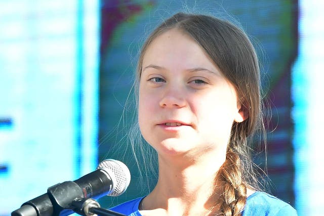 Teenage activist Greta Thunberg addresses the crowd while attending a climate action rally in Los Angeles, California, on 1 November 2019