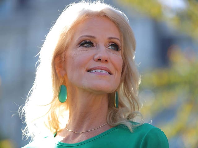 Kellyanne Conway, counselor to President Trump, talks to reporters on the driveway outside of the White House on 1 November 2019