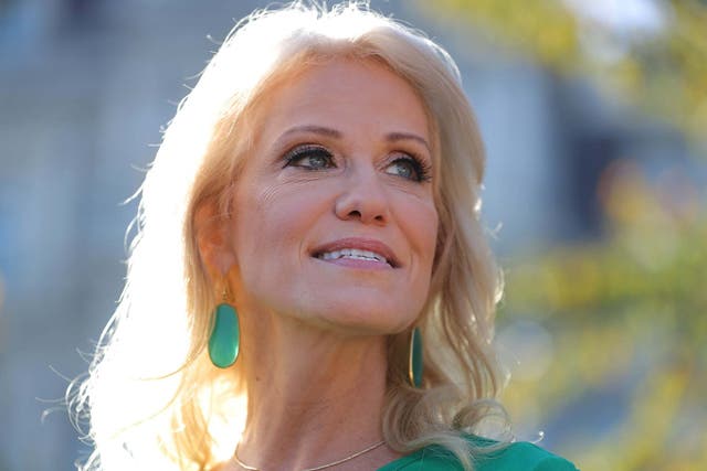 Kellyanne Conway, counselor to President Trump, talks to reporters on the driveway outside of the White House on 1 November 2019