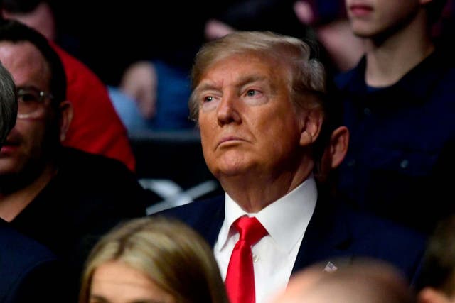US president Donald Trump attends UFC 244 at Madison Square Garden on 2 November 2019 in New York City