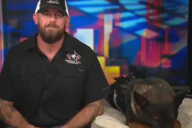 Military dogs expert Mark Ritland appears on Fox News