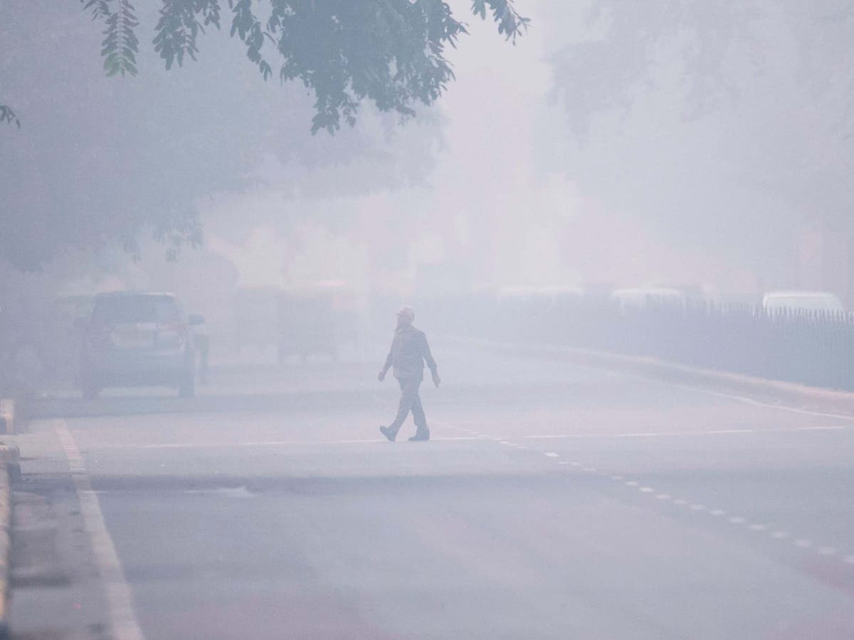 Indian capital bans half of city’s cars from streets to stem ‘gas chamber’ air pollution emergency