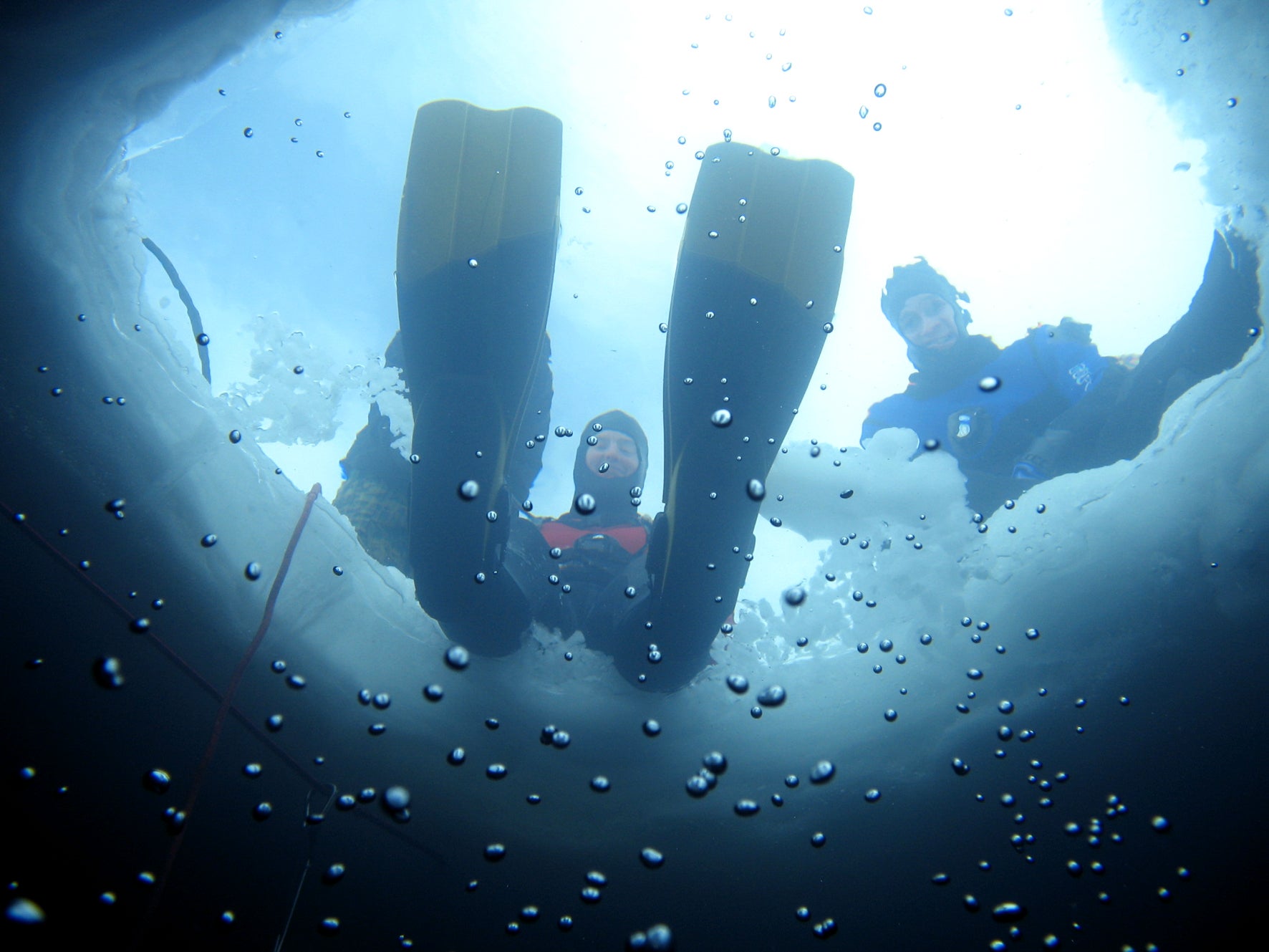 Ice diving is warmer than you think