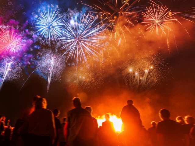 The petition calls for fireworks to be restricted to organised displays for the public