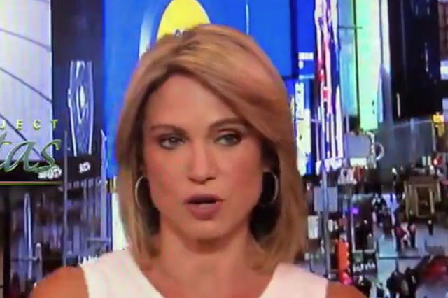 Amy Robach says video caught her in a private moment of frustration