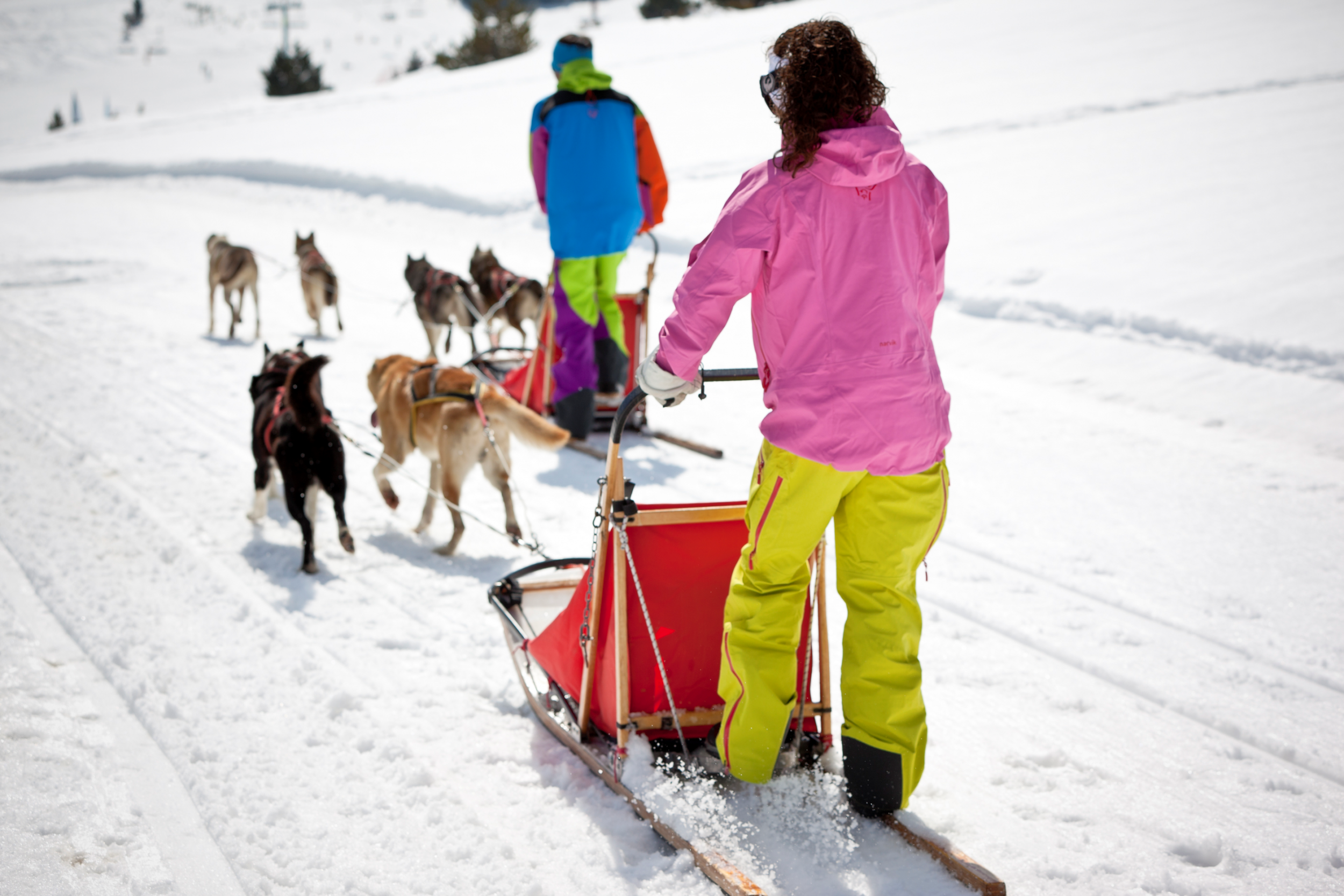 Alternative activities such as dog-sledding are available in Soldeu