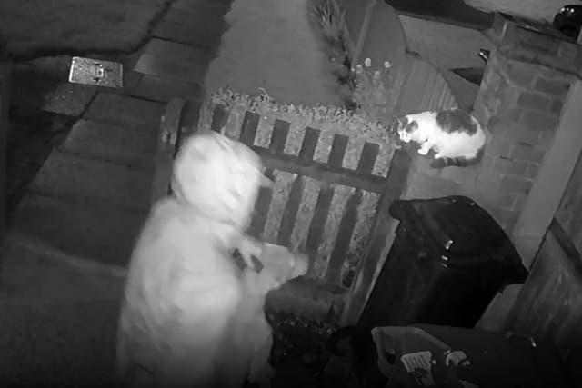 CCTV shows the moment a man deliberately sets his dog on a pet cat in Walsall, West Midlands, on 23 October, 2019.
