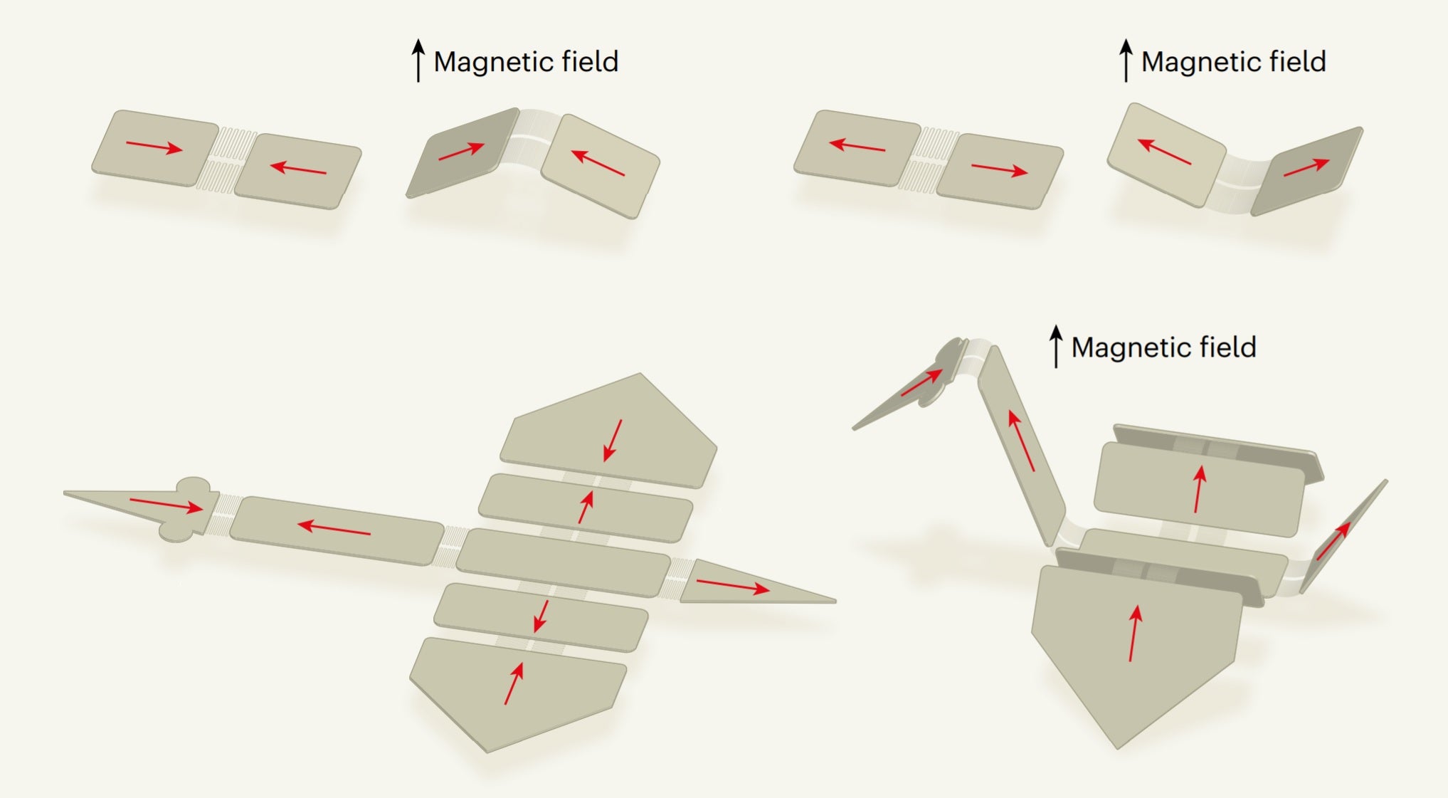 Robots assembled from microscopic panels have different magnetisation directions that can be manipulated to undergo complex movements