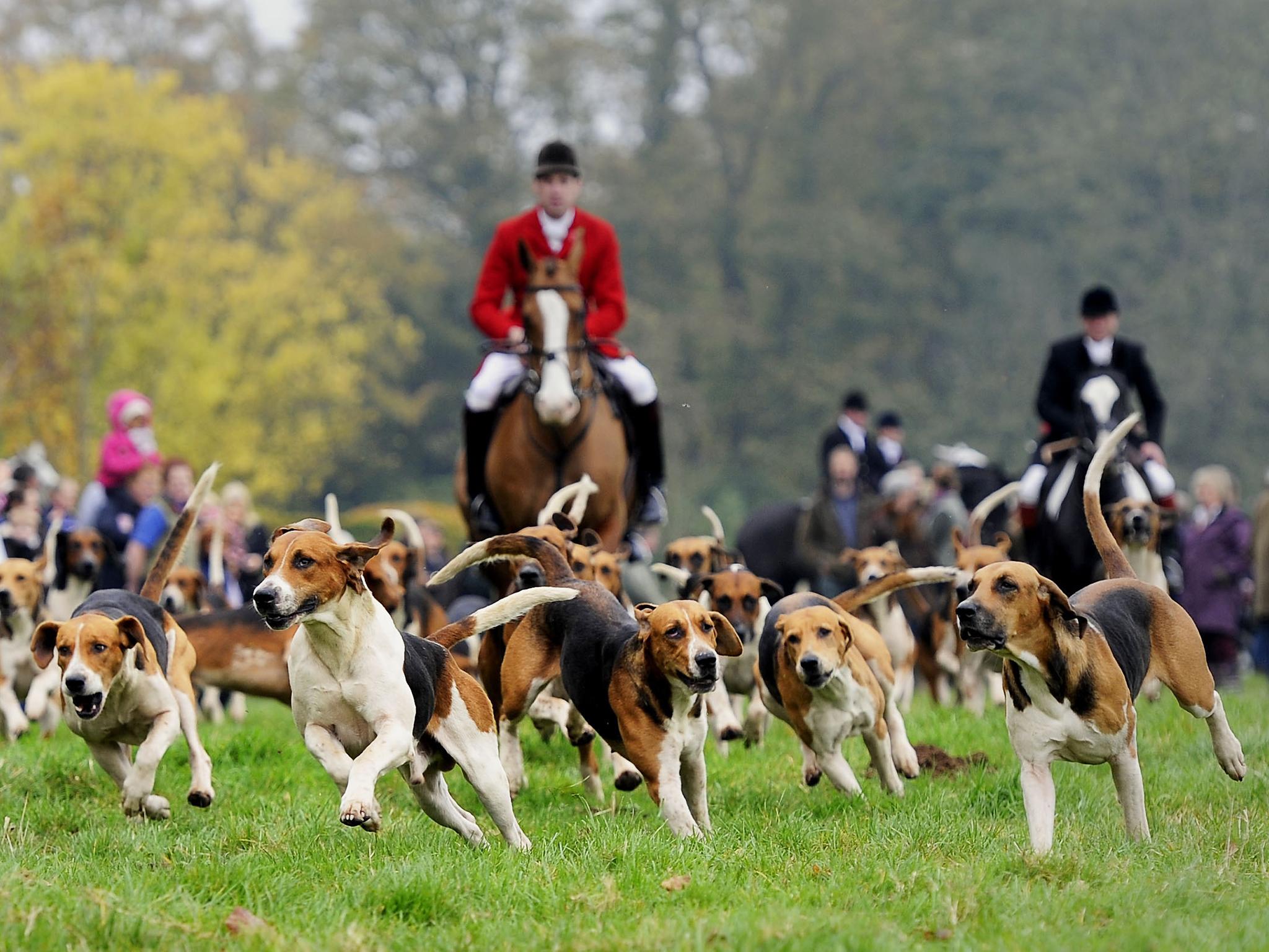 Labour quietly targeting Tories over fox hunting with Facebook ad campaign
