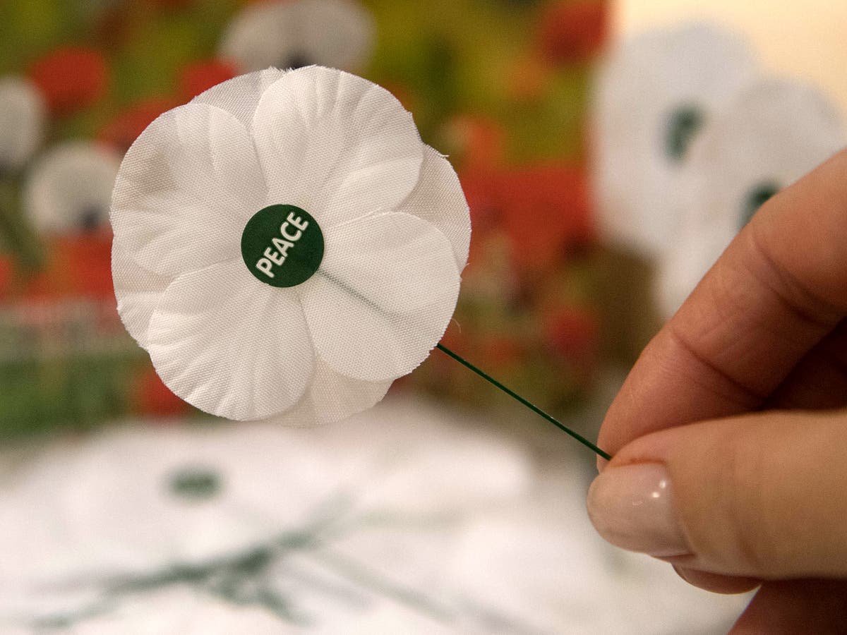 Military veterans demand Tory minister apologises for calling white poppies ‘attention seeking rubbish’