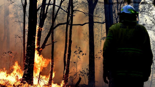 A firefighter works on a bushfire believed to have been sparked by a lightning strike that has ravaged an area of over 2,000 hectares in northern New South Wales state