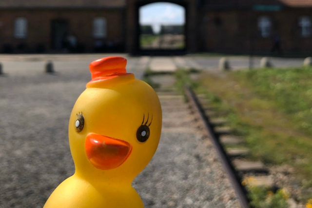 Instagram account posts pictures of this duck all over the world