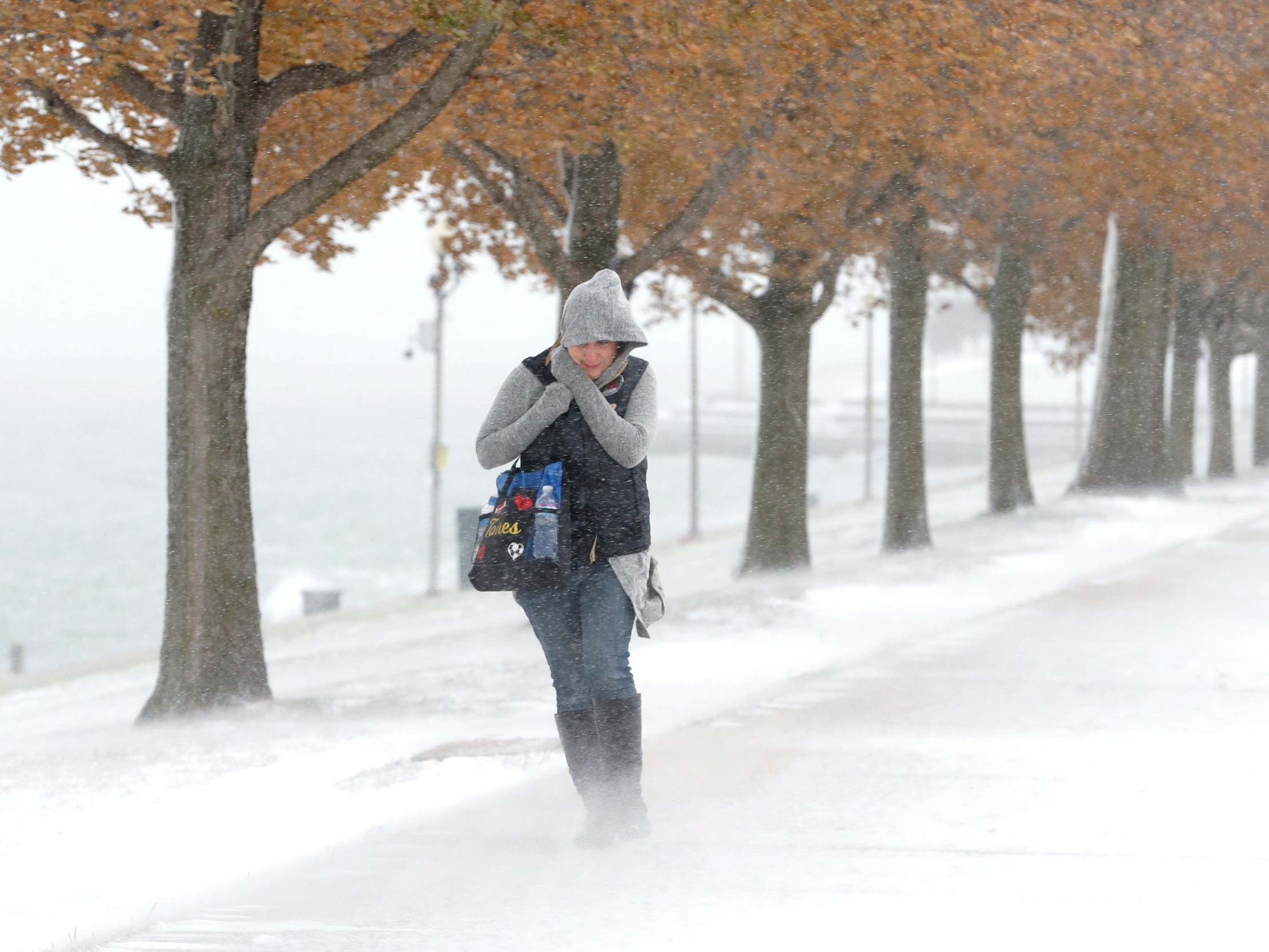 A woman walking inChicago braces herself in the stiff wind and blowing snow off Lake Michigan
