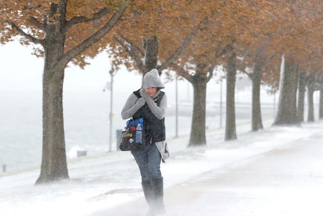 A woman walking inChicago braces herself in the stiff wind and blowing snow off Lake Michigan