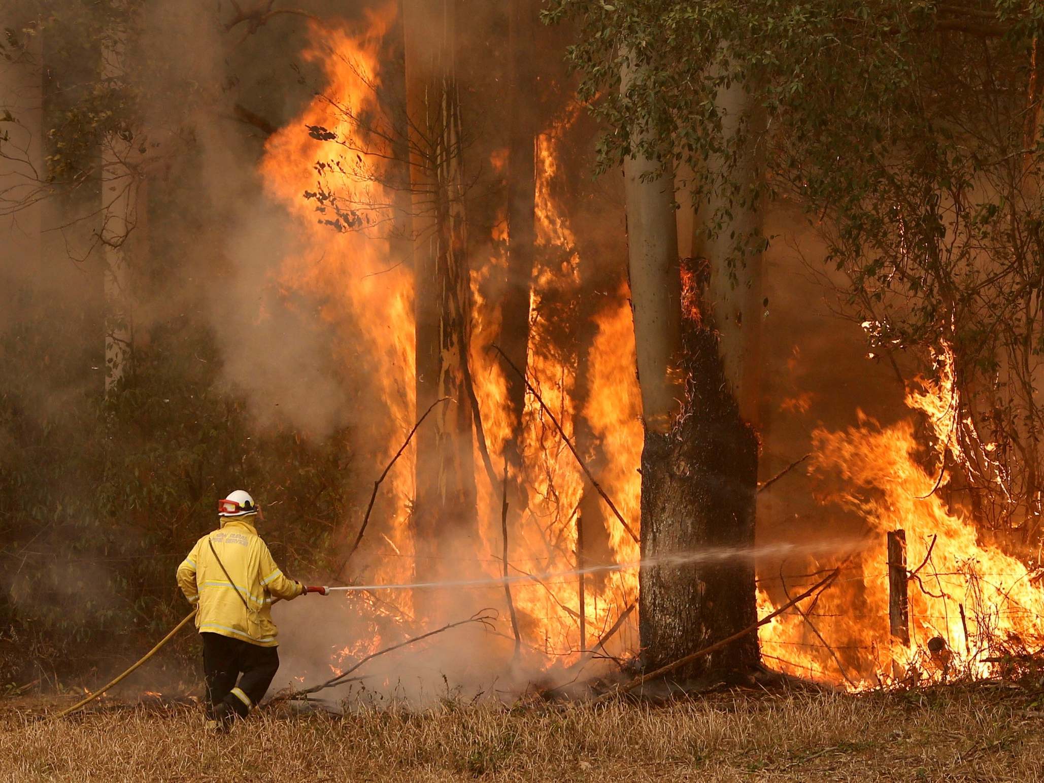 Since September, six people have died in a bushfire crisis that has engulfed the east of the country (Reuters)