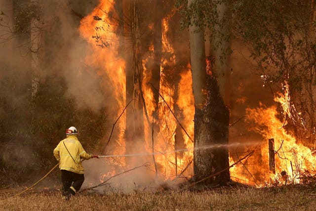 Since September, six people have died in a bushfire crisis that has engulfed the east of the country