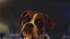 Can T Fight This Feeling Who Sings The John Lewis Advert Song This Year The Independent The Independent