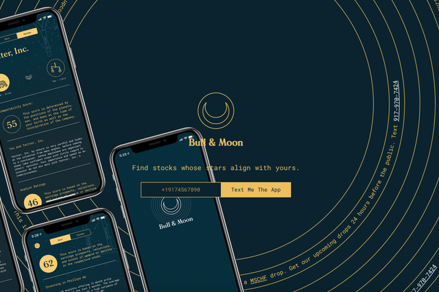 New app creates stock market advice based on astrology (Bull and Moon)