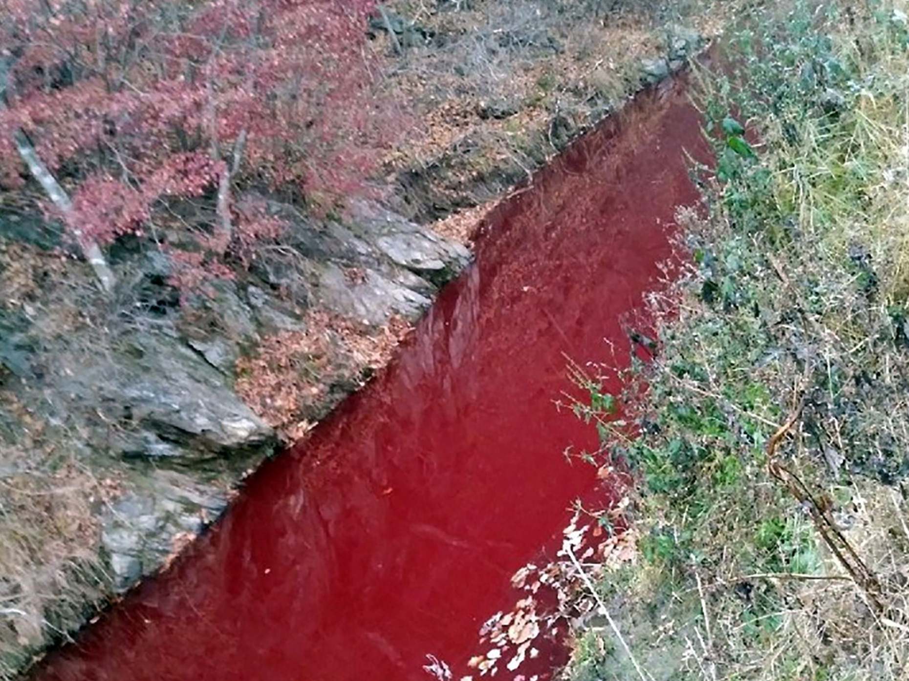 Бывает красная река. Кровавое озеро. Красная река.