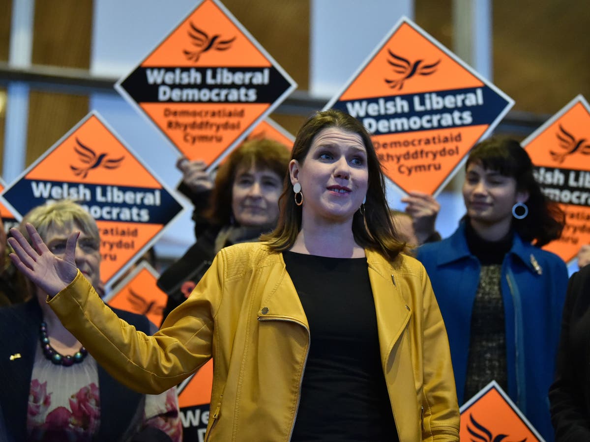 General Election Lib Dem Leadership Vows To Stand Against Remainer Mps Despite Party Revolt 