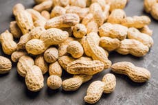 New treatment stops peanut allergy for two to six weeks, study finds