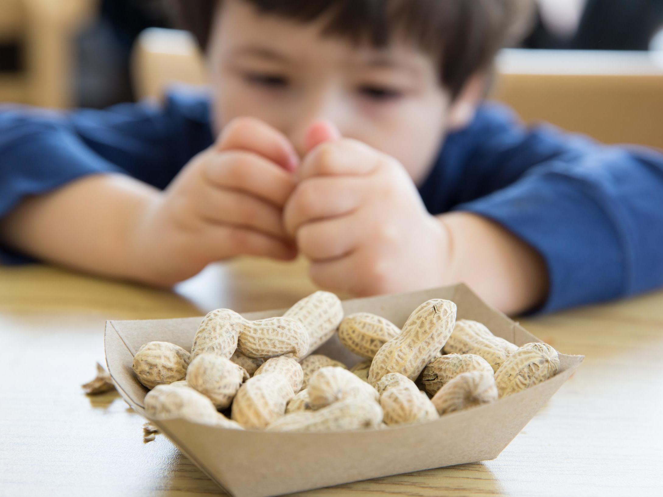 Полезные орехи детям. Опыты с орехами для детей. Пищевые аллергены у детей.
