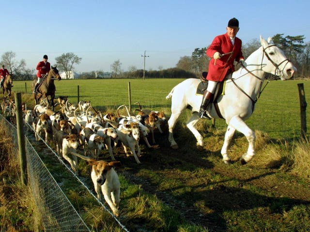 Hunt supporters say since the ban took effect in 2005 they have followed a scent trail; most voters now want the law to be strengthened