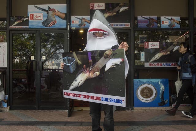 An activist protests outside a restaurant in Hong Kong, opponents say finning is cruel and threatens the species' future