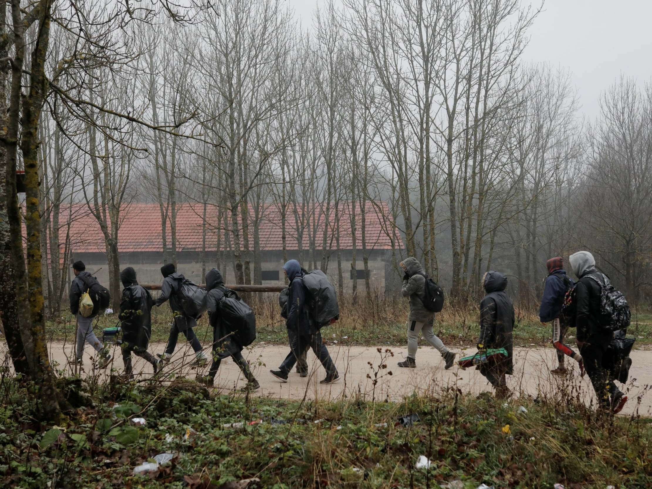 Migrants walk through the woods near Bihac in Bosnia before trying to cross the border into Croatia