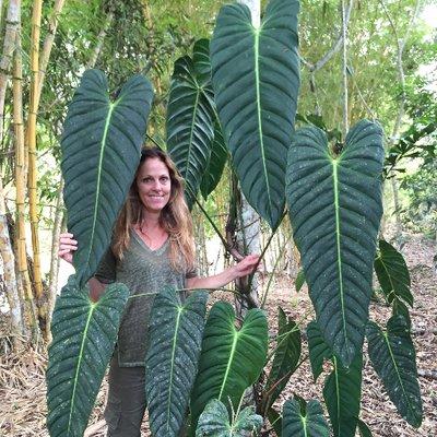 Enid Offolter in her plant-lover’s paradise