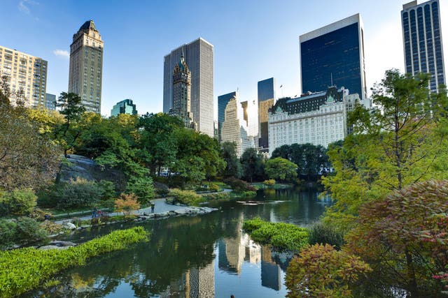 Central Park offers a green getaway from the city's skyscrapers