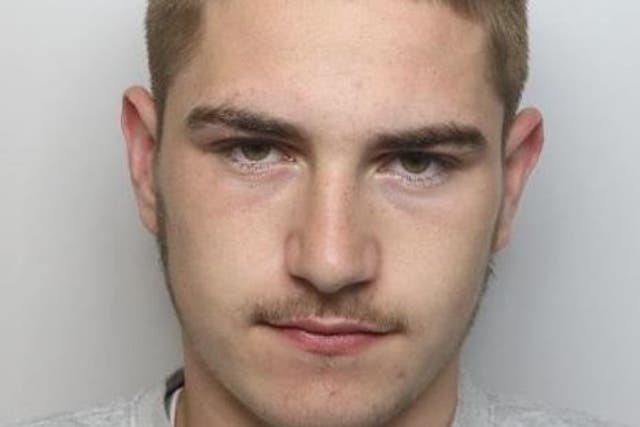 Reece Reed, 19, was jailed for eight months om 18 November, 2019 after stabbing a prize-winning show horse 20 times and cutting off the wings of three chickens at a farm in Wellingborough, Northamptonshire.