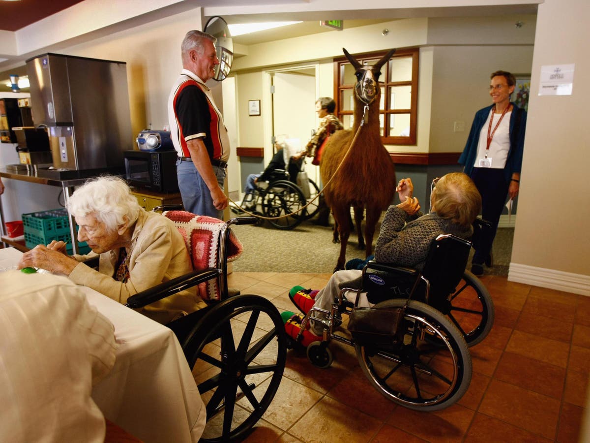 NHS pressures having &lsquo;devastating&rsquo; impact on dying patients