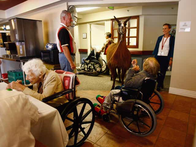 <p>Hospices are set to take on thousands of NHS patients </p>
