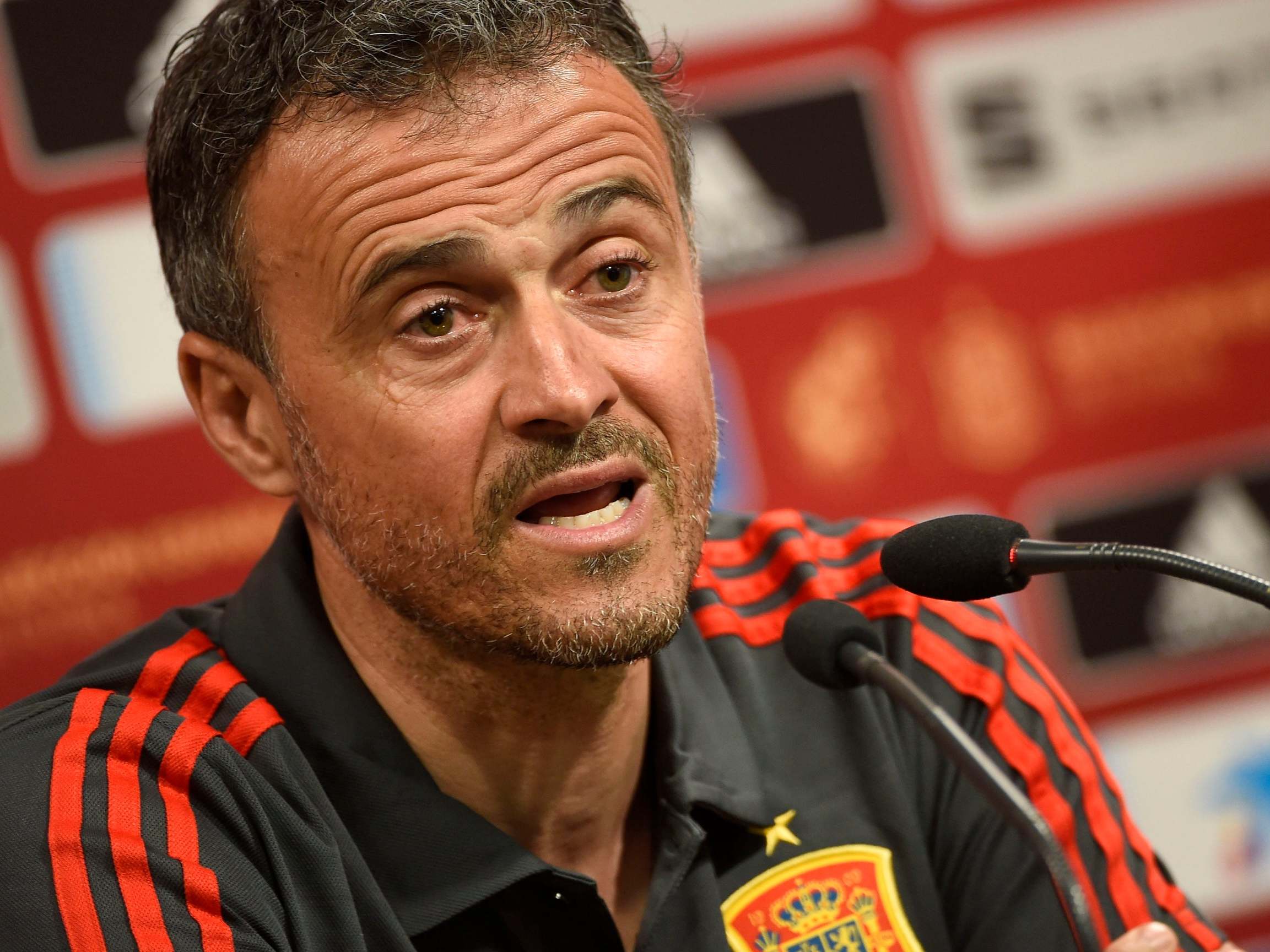 Luis Enrique has returned to his post as national team coach