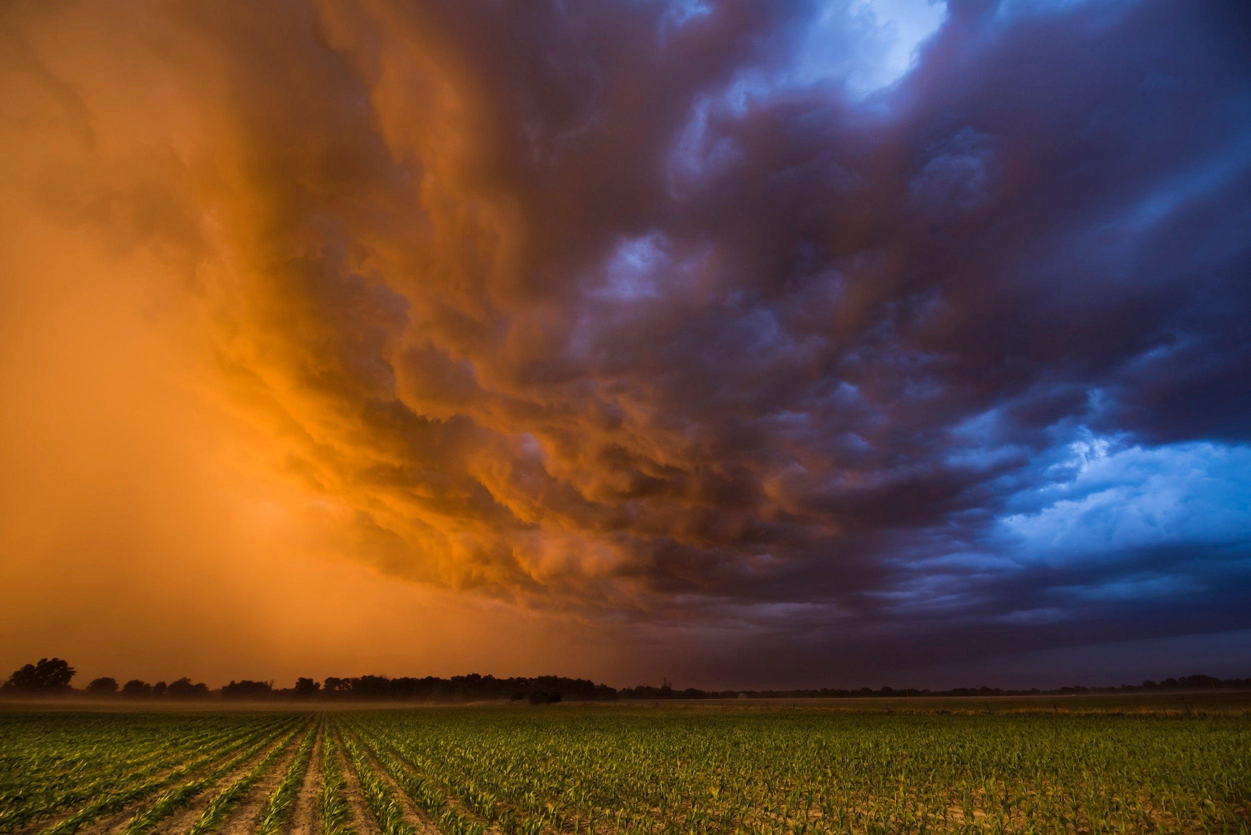 Chasing the storm: Amazing photos capture the character of America's most elemental weather