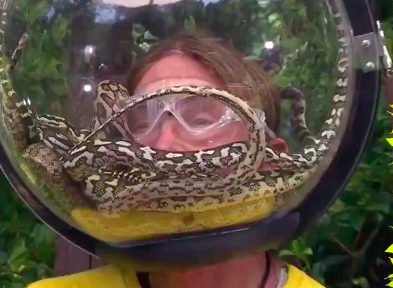 I&apos;m a Celebrity preview: Caitlyn Jenner takes on snake-filled trial