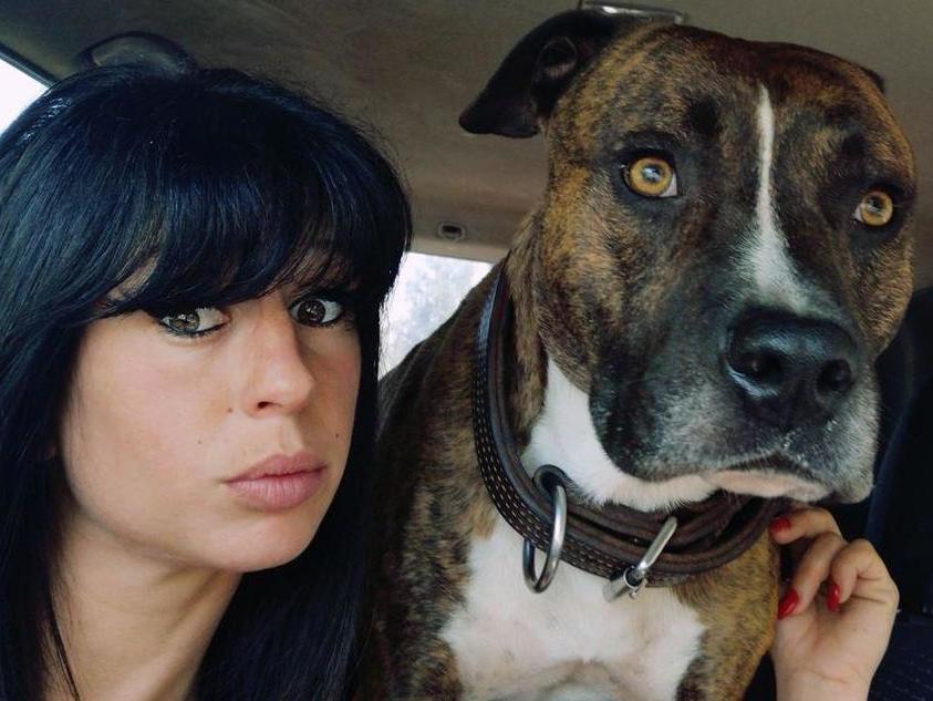 Pregnant woman killed by dogs while walking in woods during hunt with hounds