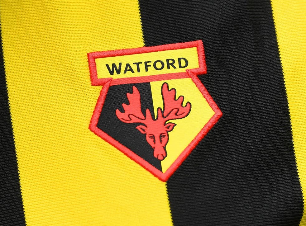 Watford will keep their current badge
